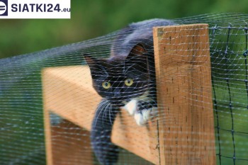 Siatki Gliwice - Dobra siatka balkonowa - na ptaki i dla kota dla terenów Gliwic