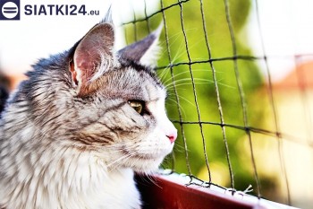Siatki Gliwice - Siatka na balkony dla kota i zabezpieczenie dzieci dla terenów Gliwic