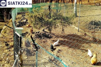 Siatki Gliwice - Siatka na woliery - zabezpieczenia ptaków w hodowli dla terenów Gliwic
